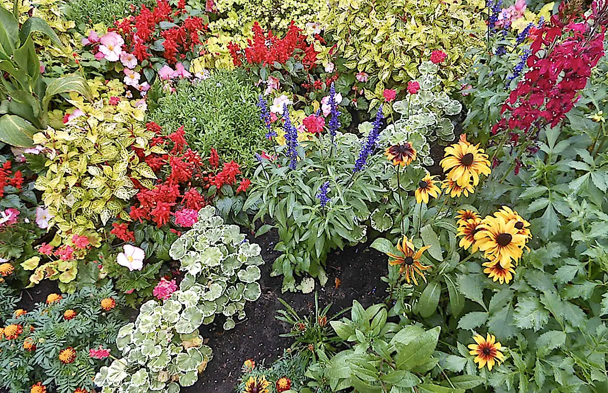 Flower beds in St. James’s Park