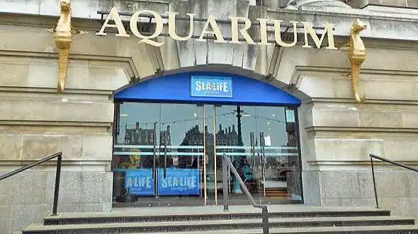 SEALIFE London Aquarium
