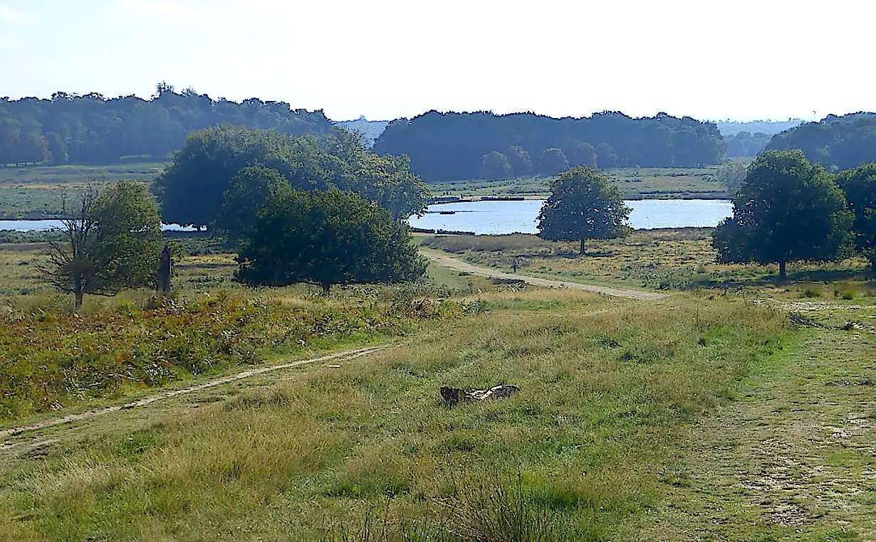 Distant view of the Pen Ponds lake