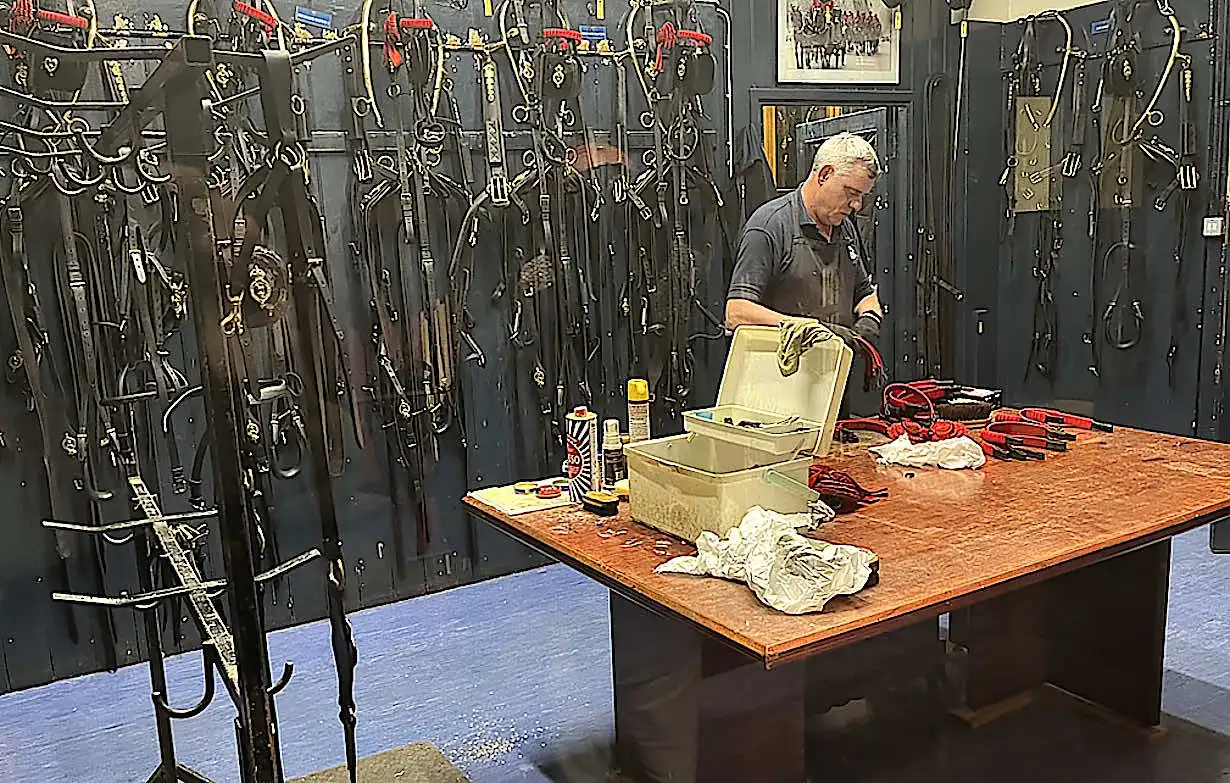 A member of staff polishing the buckles in the stables