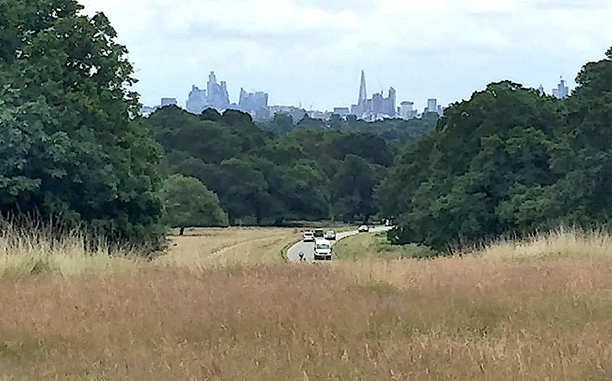 View of London’s skyline from Sawyer’s Hill