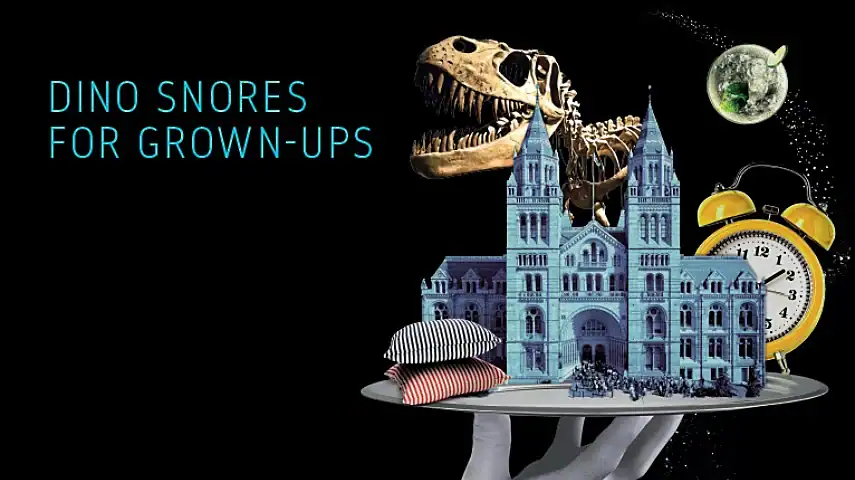Dino Snores for Grown-Ups