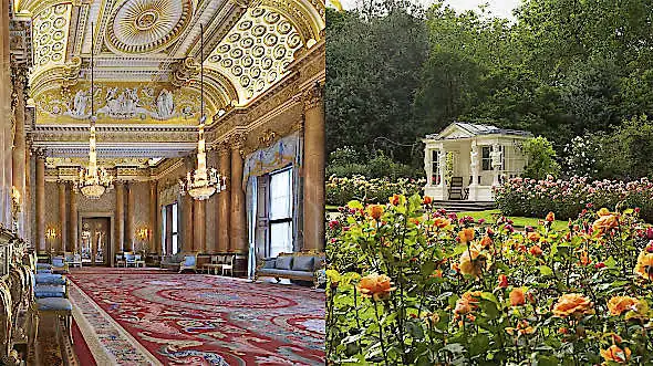 Buckingham Palace Tour