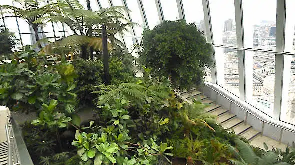Sky Garden tropical plants